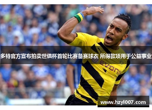多特官方宣布拍卖世俱杯首轮比赛备赛球衣 所得款项用于公益事业 多特官方宣布拍卖世俱杯首轮比赛备赛球衣 所得款项用于公益事业