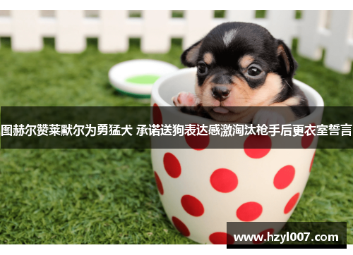 图赫尔赞莱默尔为勇猛犬 承诺送狗表达感激淘汰枪手后更衣室誓言 图赫尔赞莱默尔为勇猛犬 承诺送狗表达感激淘汰枪手后更衣室誓言
