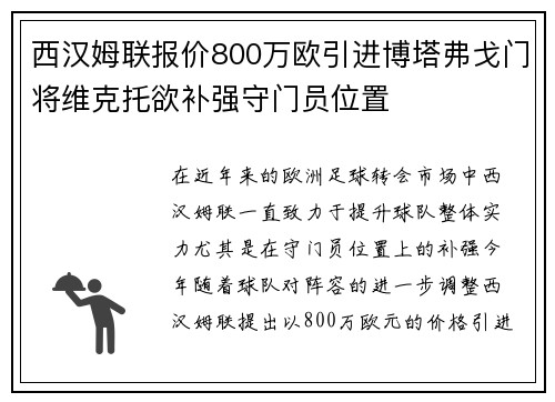 西汉姆联报价800万欧引进博塔弗戈门将维克托欲补强守门员位置 西汉姆联报价800万欧引进博塔弗戈门将维克托欲补强守门员位置